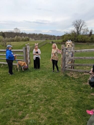 AC9h4nrdQ8 KgFL1iAZ7VsZIeO86K7AmDdEtIItQ9e1nfUPUOBkHq0cMbZ LI X4Gc 5RC05s8Ns27tzF6WKd9MSmZ6fhrx99bRYDeRs74O3Nzr3ggTkl63jQzZlpKK5LjIQNk4ihLXAlAw1600 h1000 k no