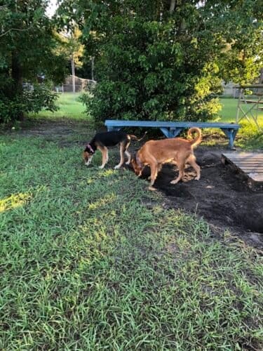 AC9h4nrdUPQ4xa akhM Sx6HtxzjKrXKpxGtvXmknFn05tpOrSs4Fi4vkaOdDkKWzvyi7QWRd5IqXzp572ZIGr0d3FEX zqCt7bh Gi0sP00onYtYxhTKuzQloEE4OZlJFUyZ4uiaki29ww1600 h1000 k no