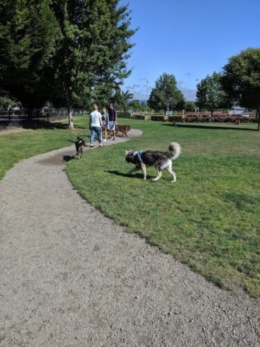 AC9h4nrdi6z7k57pzUvbHDXBemtJXqW4yPHfkdOA4eCbLo6rUQFA8hXLFRaq2RcT6nnVn3WAugZ d9wb1Gm13vG gGFOlc6SVaZZRMqZ1uEIJj3fhzNtwLGLZEZvSr4fOQ xVDMiL1Uw1600 h1000 k no