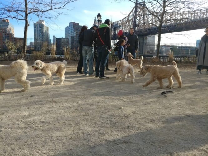 AC9h4nrdnROuENcxxUR6nr5BN0rtCF8WxI3fzN J9kB7p plESTbbXQI2B3gMGQJkWLRYZPtc8X7ttKLYiL5ECMfD1JeF Ib3V2cyNbRtuoQPbOw7alqkV8bJ8hK6n0OFAjI10OagQcLfww1600 h1000 k no