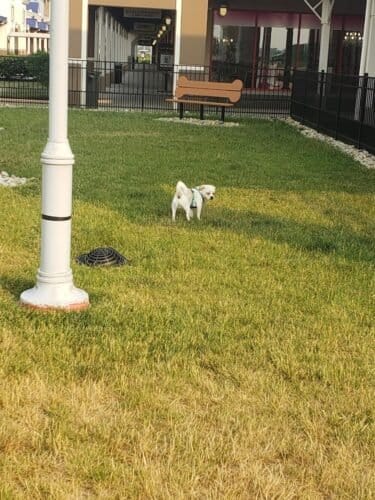 AC9h4nre4WtLxEGY76JK7weDN9FYbfkFcZtpqyEBgelA3BkWQwrSkNUUvCS97 E8OglZQ1ixqZXxgI42iUJvs9JA6fd hOoJVDD6UZ3tVkEK2l7a 9iPUWqebq6mQBs1aELVaib80jtVw1600 h1000 k no