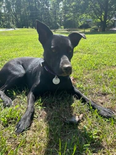 AC9h4nre6 shCDIy N0sdWaCvhgPLX EcKz g6gCNwe6r2tnBeAJzl54 LBmluwTvViIdJa1LNmkYStn5biaY1kleinY0n435GDP3R72WgjU6fd2NhfkuCBnk1vaQxT6bGDqaD8wtyfvw1600 h1000 k no