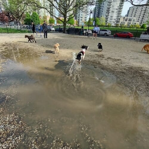 AC9h4nreNIm2EoBpi WkiA9Wn9v87brhy3reQtqQiTyYHoYGC jLwqH8jc5DKYu4 LHYAClGcICgTZFUQ2lmYk qgjDdGiZnbl5caD58cEV4JJKqnwRTSgd46bt6ctdsmarPdAw dLu4w1600 h1000 k no