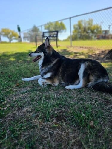 AC9h4nreP dikhegkepQnIl7k6XbE8BJBisMhwStJxtmtv3OQKpMMVh GucWD hIF qCb8AJqthPO gQiBj0BHe s4VyTSTamK8HnI 6HWhoZiU0PVqCn2Jb0eYwt9SLU9N0cLBSoup w1600 h1000 k no