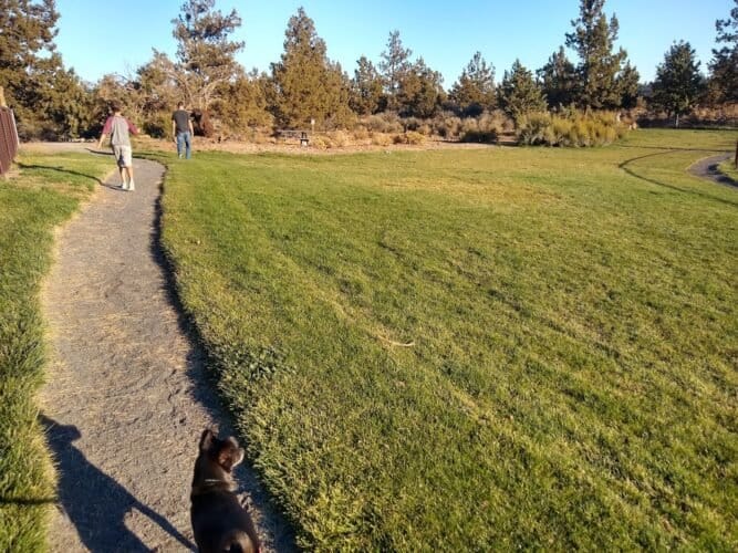 AC9h4nreQygbZ3ZuNjZ7Vet8JpFroAM qCe7057XMEJToD nW2ldK81zlptKCh 0qngNxvjV5RAI1grX1haS8SPAMaHOLbyCLcFzft6wwQa785YHEQ8YRX0fA3VgVP LplDl0NbJbkQw1600 h1000 k no