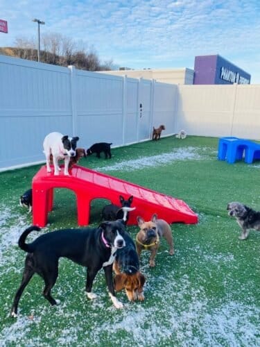 AC9h4nreRr64kGdgCKxJI Ie7im S49A0Ye3l5TC xqW2Fh8P H10PHPvKi9UzCjKCj9WxUjrJNpu2EJ hYsM67AsNyKn8yItG TwuUy3qF76lpgakAPTdG1OXmI6UMzLcCuSPuvsc9Zw1600 h1000 k no