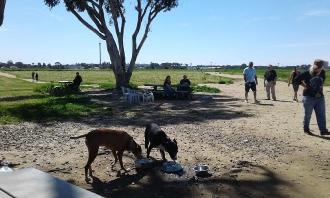 AC9h4nreWlB37W7C9prDSgPJ92InP77ZOPgUk3jIvHKE794LosmZYWI m6l5LBOsw 6ECCBkltLlEh9 iUsRe5y580ZONLGSH1q8FYK7lg N 8Z wxndFADtBNYh6ZtpA5Zp2cuFsHCaw1600 h1000 k no