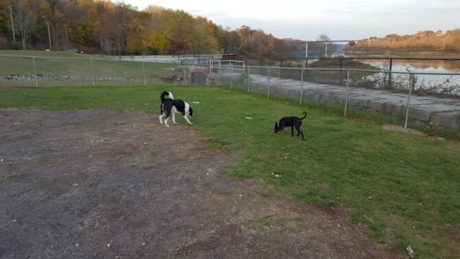 AC9h4nrf8COFK7r8dMbFUrFIsue1PNrh12ituojIkqwY88Nx34AiCjfMUQHGXLWTZF 0IR28C5faqwlG58laF GoTKLqK4fcJDErJxbynZM9oVEHNyTAUcn0 rdf OXvFbjDyGiq7tDZw1600 h1000 k no