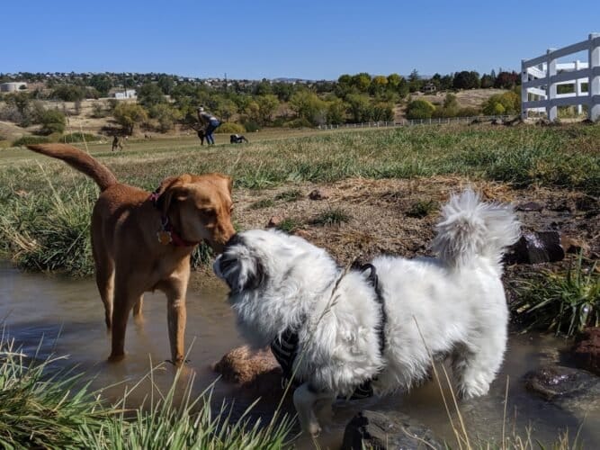 AC9h4nrfNBZ1prTrxMbFdzJYuAmeoyGmvhRHvnIlbPoqypfH pvhqfOHCPuWxQm3K OGjPiM8vksCH1kP LcjSSbSrCiUk7DzNGhoAwAAy s7n0k72sOSTxcJfZGBPeo7 5Ba7 unv5yw1600 h1000 k no