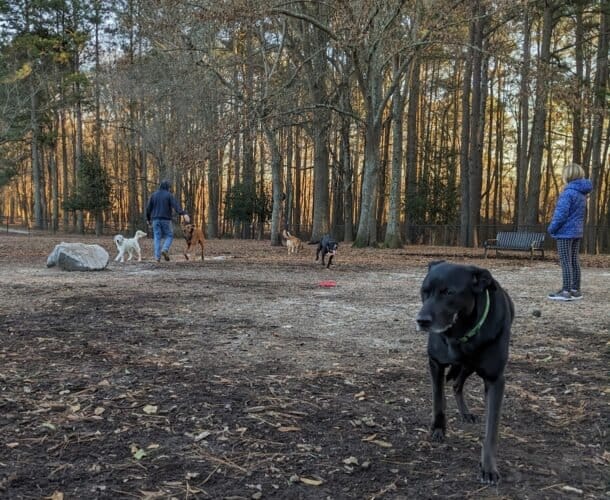 AC9h4nrfPx72pPVwUgglYFTKoF7lPEXQaNjn6FpVUfUXqmKgb8gXOmUBp9NFR9rerkX4FCX6JoBgbo3Du9e7s4awQcv9H9wYta4el3RrT0A5dhv R0P3e0G7mxhs1h3WH04otPhZQKFLPQw1600 h1000 k no