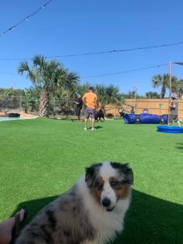 AC9h4nrfVzYus MetfApFaMRcDR1WkqUk56BHlcVAO8QEhpt5hnxAl4JHlDaE cHOZspOhaaOKJPHNn78um8JBIKi8RJpV p  aI52JX3octDtcFv7xa uAZPYk2ARawwjnEF7ddMonSw1600 h1000 k no