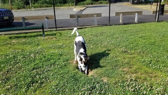 AC9h4nrfZndP RrFAptGhzYezX7VlrCh7c2kq4b6fWRwHjr N8041Jh0xyWBD2TFfqzIJ8MewdfSQp6bkNl3r4LjfC2MDB2su6jk3paf4Vx9WiiJg6Z4XCsVKCk4uItd1d8V9S0zowcw1600 h1000 k no