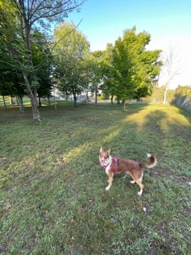 AC9h4nrf SXbAbxk1Bx9JHrq DOkeoYhO3DeULHU526AtD4Cy EtTJgi1CxLzfCjed APBCb3b6aP5rypC1eWv7HuqTRmxq9Vj9Tx mYD8Y6uoz4fdstB64AdR5K7p  Y7Nj6KgHu rRw1600 h1000 k no