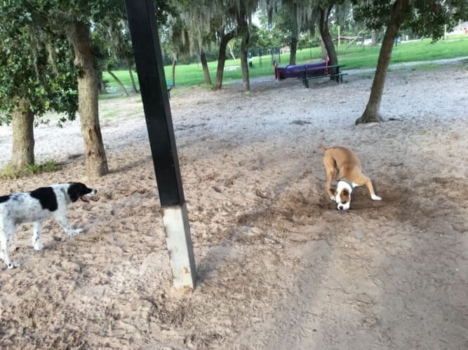 AC9h4nrfhVEoE3fOOSBo3rmm9FymZmVPjYJVF2Vb6UCzqXH94VSW3w9yu2qx9U a NMxUo0dHUkvEzspDxqvZBZBTjlKFsWKCfo mERlbCLL7WSfTmzOYNHCjtBwk66ixjcEi3q0buzow1600 h1000 k no