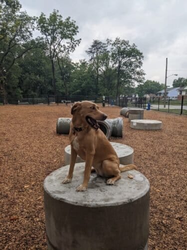 AC9h4nrfiEPPHYBGl7q8Ke1ghHTM9o52 YxROIM2xo3oIA 09 raP7fenBjEVvWtiogqyBFyaSYERjC9xjgIMEhZTtQNMQ8T55JpmsuoHguR6zezcJ9ZlnXdjwmIPEb4B6CAzU G21cf2Aw1600 h1000 k no