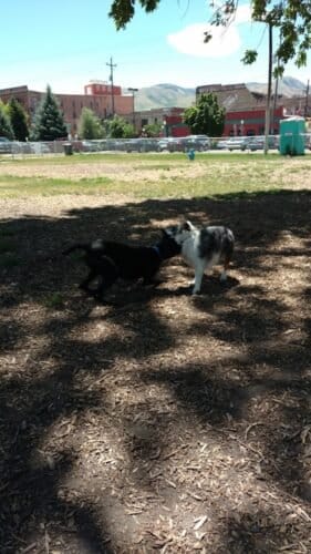 AC9h4nrfrCimDMmSfDwpPUn91yVJn rdhv7VvU8wWCvIgaYcFH8RhX1kwESNy7iYTnnm9p O avUgywydGlDRxenEzYcQUU9vpPOARATGsWe5eMXI XoFj6qOWh8ohAfPagby2g7xIXtw1600 h1000 k no