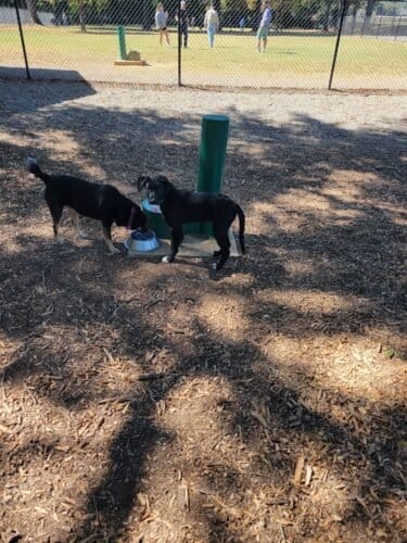 AC9h4nrfv0iFz AOQrJkhpzx4ToLaHMwf7T3oGHiR8ouYOy2kuYUFTwdyIW7K5FdQV DuxxpBtbtqkHWQl4K6XezmHZSXL zrOYauEy29VUm4RYtrxs5pd Qi07vraQEUYiVIY4dN6QPmww1600 h1000 k no