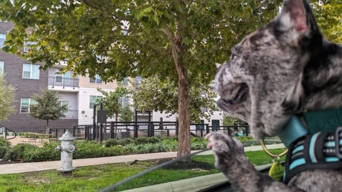 AC9h4nrfwKSuVRPq YOhHHH0unklP9RZQBNE3y2aBNiwlFvplFxWF 3CoAiJZHJ0WjGKdpCmCu gm1 eryZz67Amy84fqsTiEzNs5ukufvI XXyuoOBopWFb9RSm0BBnVtMpUxjg  rjRQw1600 h1000 k no