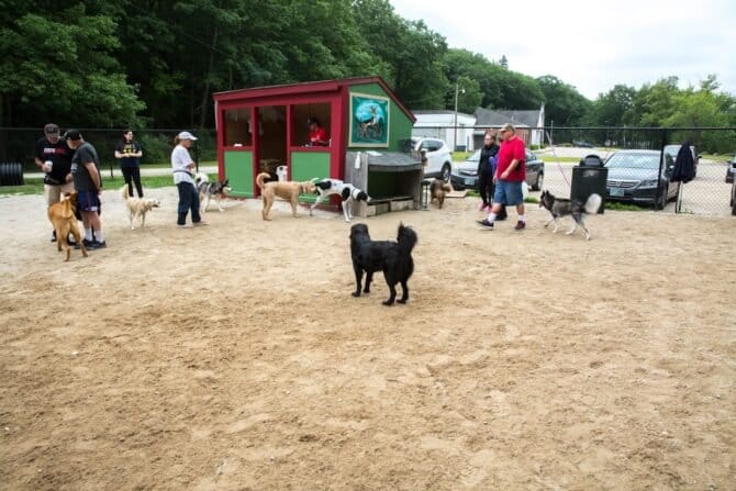 AC9h4nrfwZ39LaQ2xDbxx2eoNDRM4dltHOBk BljbEBViF7l IuyA5Q2B4cUuzt6 hihIQGcFZHdD0N0aKb5rdxh6kL8snpdZCH35zAGeEBDFW0tyiZYKUtpVD yz5yW1 L6jyLdd7m Ggw1600 h1000 k no