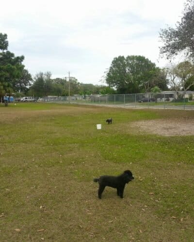 AC9h4nrg Fp79OFhBgv7uEctPhw5r7toQh4nmHSFMnr6sBo8DP AyGgRtS10 Pda4uf2rDfsq1mHgf0VKtqn85xakU1mJhR Q6XHmpD 3YsN4xRZG8Vf3y3MDgscedTx2coNA jW9RMjw1600 h1000 k no