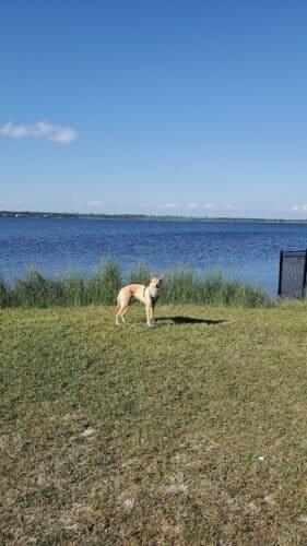 AC9h4nrg0M7fq Q6Somu2G1SU CkOC30s trnBbGhSQn0JGVGywlaXnE1SeztSzM7z6p AY kPCTF qEVkAlmav9CGz i pLh8B4DjcYErtagv8W9SQeiNcF5qI72ixmXYoK2v5wPTJww1600 h1000 k no