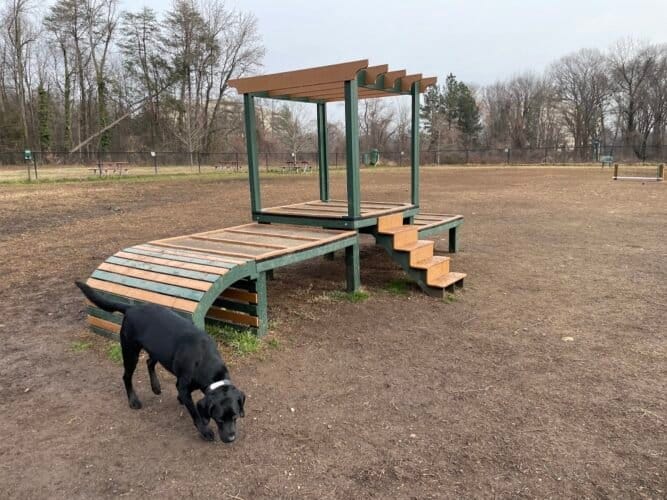 AC9h4nrg3nQHZskJjw2Pg D 2EeMYlFLt pLttPZ R1YplGNifY3W9U1szJNaEW5KyIFn x1yqlc96vWZZxrJdTb0RsG5briS7Uw12p3jI207hcA4ynn7ruZg42xfuUjdzY6VD6kNGuOLQw1600 h1000 k no