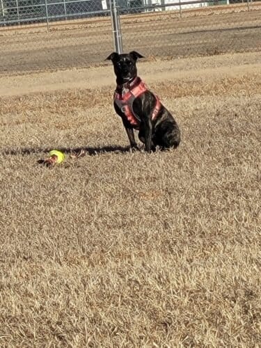 AC9h4nrg4T5gfuq2KgSeSEfqsgZ1e1cmWYB5ErA9rApoovGHGwPPO4aejsatn5xAl0y9rkSPjX4k559KGa3t a53B7ycL xUTpw9vYk3KMVwpzJ7K 7 E7odhzG80U1osj4pLR1kmUJyw1600 h1000 k no