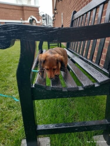 AC9h4nrg6PYZnDlp3vrUySsE40jIljeLmpkNJdFsmVz1vpbrcmPTRNg8tC3 kB7uajsUh3IQ15uEw4JerJCxSsW RGB 91pCBJ8IcEMd7ZmIg0s3hF7kb5fwBIjZanQ3ZNBakb3PBbnjw1600 h1000 k no