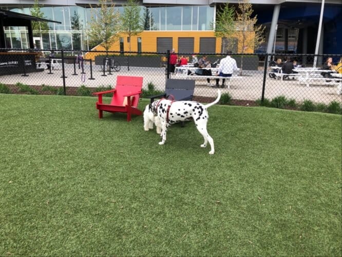 AC9h4nrgwrMeA9pGG LttY9P2rEMtFfKQcOKhfNle4gMXG2OFU4JPTcjKVZiwevBZqnY7ZZwBZf8GxQnntVlfemlsxfNrK1cGez8q7CQcnuzTaCYkW VLIjeHQOCZq vmRKvf5t h1pw1600 h1000 k no