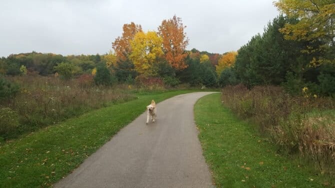 AC9h4nrh6I6FkC mtE8kViIBNs HqUBLvMo18grGxXGqg1Es1GrjF1F3wcXfEXlzH8kZ1Z2i7xJI5dhrjGHnVzuC2ThjV2tIeqGCgqArjOIUapblqRyPqBK4hGCx9HTKnTAcPphJQYrIw1600 h1000 k no