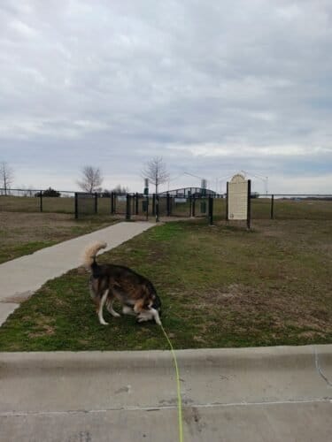 AC9h4nrh88 OUBgI0vPm05NJvGJPsbnG hWGrj2tzWPzKu1oldoVlyJ8 PMrM4tcKC28ZvzASV cvaUX1dCsR3DWv0jF T2KnSUk9PeMw1600 h1000 k no