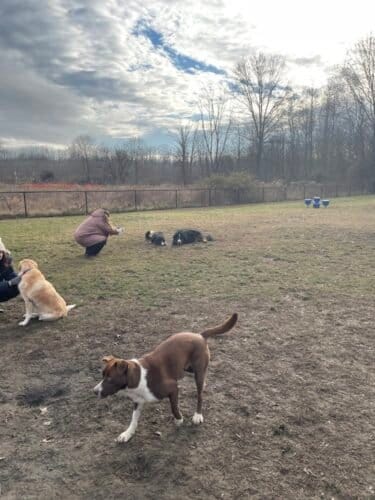 AC9h4nrhEVdg zttTJdi2naqiApP3iYQPKCu3pCpJbm8HImkh0 rxCdK4MnmBkJpzuHwr9EOng55HSmTpSgVlJDPT C9jK34smpSM 7EUDDR5xUxya9 OTuhD9TzDbkD7Mcq K9JWDFbw1600 h1000 k no