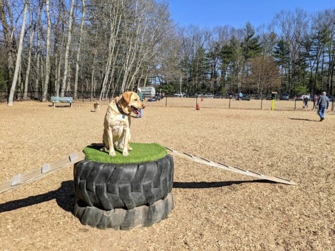 AC9h4nrhSH5 hkKufV9blpw2ES3P2BXMBxs0tL7mgs0 J18DOnWCYATcl8U87pxEs4bGKg34cSFMWrsDMLLdLbxB3xtUGM7njrGfMNYqk5jXOoT8AMZviS5OnGDwD0dOxt2W0B04HXgw1600 h1000 k no