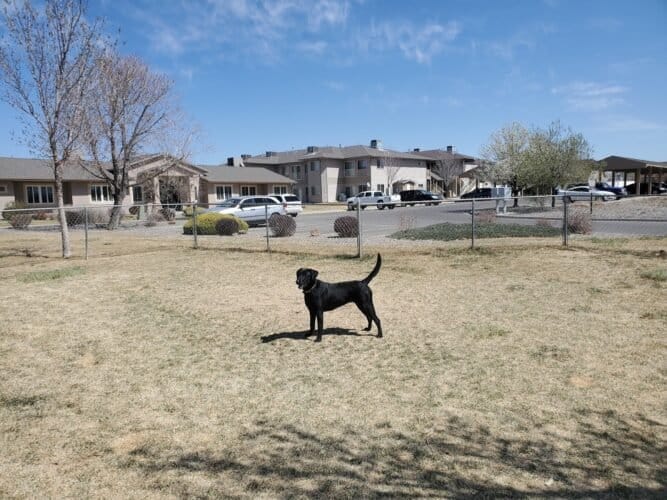 AC9h4nrhV4OmW0 pCHHGYQcnRZEqKBYrUMy5wpljNY8O VsY4SDmp0sOE821hLZnHxm6eJ9NBCCOsmuXxPDtdoz3qRLDkHrmMqwTx5Y6nf4FbUxIyj3n8Ct8zJazDCPahDm5Qi4Vo Qw1600 h1000 k no