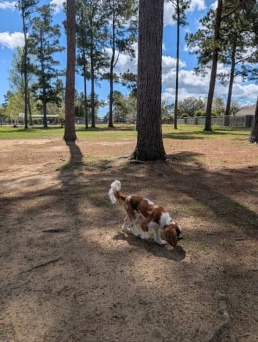 AC9h4nrhYwiIdKpfDyb76IYaYQ 12Hc4zpQyqIC4mcFACFIzrQAmxE4yHzr4JpVwb2tf2nNki Isq0fVPwgtEMuS44VBlE66uqLx6oPxTsx2hI MAqmmKUUrPJxquTAbX0kuME5wpEe0EiTAeiIw1600 h1000 k no