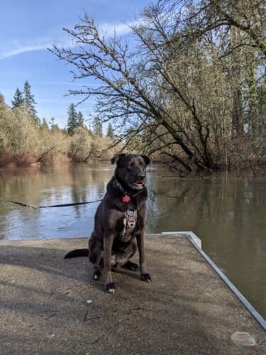 AC9h4nrhlR nHR8czyT9qJ8BwegrCPP8ZrnD3tUFSW1ChYMPAIWHFV ahuCy5wadetmLajJjOExOv4jR 6Fb55H7uXpuzO3WLSFu3sEuX444RQMch0FsoafpBHU1dJ zGoFSlbsgL7Qw1600 h1000 k no