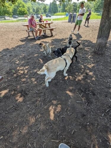 AC9h4nrhlqVHNdtNQKp3CoZhtspbK1h AHLbYnpHG5NdUEGSt7dVBa9EkEvK4n4kr D7BVlk QM216cKqyFl6OPv4T5ecBqjRlHxXO1qLyBBF j37XZVDsEmUadGac4ysOrjHVHwPhgfw1600 h1000 k no