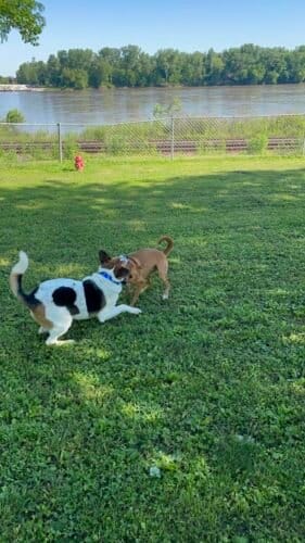 AC9h4nriBLaQaooOLjQAE3MRMm7wLRVeZsPWiranEb2HPqFNEkSzcGEYhSfNRVvMs2s Lrgcgjd4lOGEL gFQWOTEv5SvpEzuyFuLwZSZA2SOGeSy827lTSOearGbDHBqQ VN7j7QAu4w1600 h1000 k no