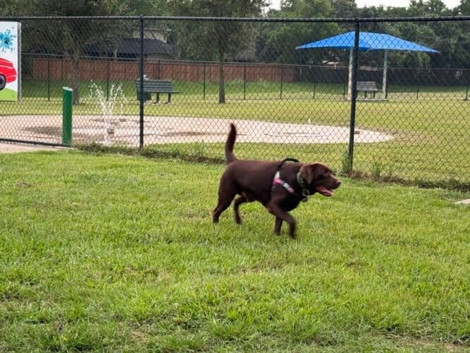 AC9h4nriK0BPoT6O KkhY 4Y qQavCogOxeXs52B LfJLlFdYMdh2FEeAVOxbEgq1NBlvii369PSvkmWo1wcUCbSsVsZTWZVO3 N7xWeEEM3uTzzTndzaubcA kCvArVY3Vx78FCBGf0w1600 h1000 k no