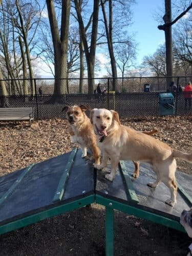 AC9h4nriY10pkJRCrDDMY2qR07I4pv56C0TRJ3QSCHAH0rRVQyuZc4Js1InbsCdNc6H3XopG0Twyu GIcEjQkcFco0ZwiXRj fdzFdMe6uFFTWgOMNQUEu0xAA IlbdVcfkwC0xZQA8w1600 h1000 k no