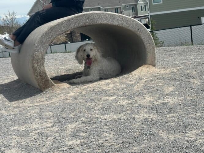 AC9h4nribL3q Iuc1YyCI KRXjF7WIpZa lR9ifdH7BNAwvu6DKW OtCCsHGxZHKLMz0kUwlzCZuLuiWQ1pfL3k5y8Y3b4r3AXik12meccXgOyf1FeyoyG02Gk6poUIryqJ rY1amNZF8Aw1600 h1000 k no