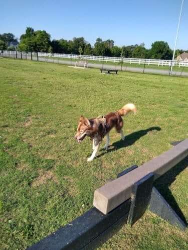 AC9h4nrie3PTBDFt0LN4exRyVE6xBH V E4PaXxP5rZM0EoehJS15YVlmLzN3P65OawjKrjh8vw8AVTYR 7f2R5YuWeEDdkzv5OqiF gzD1KaEPsTAgGyy18zMSAulH CMAPL 683W3ncQw1600 h1000 k no