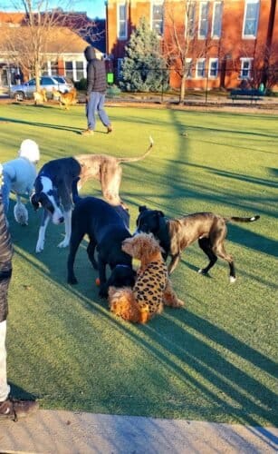 AC9h4nriihJMokeVrCPQvnM9zDxajOI b3ynWFgR87snDfA4fSSkvfjPqcrxWSewhHWdR2PVHMnVDNwk6XLJaHV1NHNNkF4ADP512osP5Gea tmAnO5doFu9MgvSBQj3UGb25pKTdxu lgw1600 h1000 k no