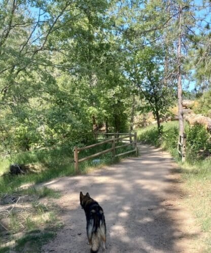 AC9h4nrizriD534SpKSP EVdfpUnZQhdgaEvQF1P461PX54w9XcvJwlNvHkRQ0EUco564aMqIw6I2l89svjNQYDQS7U5M DFCfviMiRcW8N4yMXfuD8H6H4QhV5L Dyyq3pj0Rm0bOkPw1600 h1000 k no