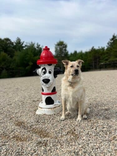 AC9h4nrj7ng74caI0j0TO5suvKYV5zyHzoOsxpQWnj8pjopEkaNtbXBcdukABM7NUGOF1OHxXBu17bjFSQXR5LTFtSkXKgPJLN6GHzIFngw1600 h1000 k no