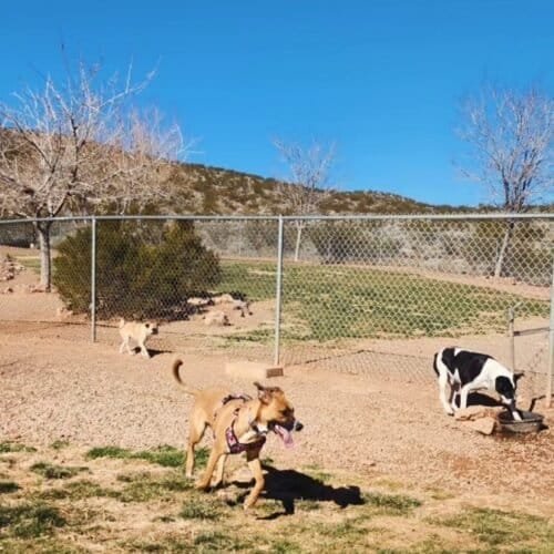 AC9h4nrjKVyA2sr1o4r9k7wyMiVAr4bYaUIxIyKrVwi7PTjEO3kC21humrBm7tlOY0rBTG0A4b1cqGRRdfNZ0HAvBf8IIaCVfhEf JBmvxJ21VRuBJoCy0QpNgi324a3 xz5dqWT5ixxbQw1600 h1000 k no