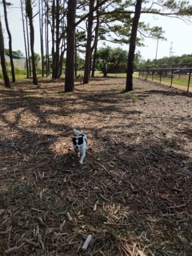 AC9h4nrjPshECHl7nv0m4uVWVbk8eG2Rvwc0crqjNChwHkP8BbAnS0UuKETYThUSUPbeCoE yREYCFC6TO Ebc6yIIoLc Iouf1 192MlnKEd5H2byocf3dBGq28HVP8kZo79ncyv Ew1600 h1000 k no