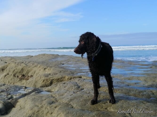 AC9h4nrjVb95JWNFsNLOUvyKBXD sLwNQMAXUIE Jk2Khxt bsjEaDOy7xQDQGZHd6qHYoBCvahF97WMciLnJo6aM09Fe7G3v5P1uNLBBL TJ5vEakC4DnCOauMKY9 1LVvUKT86ohgQw1600 h1000 k no