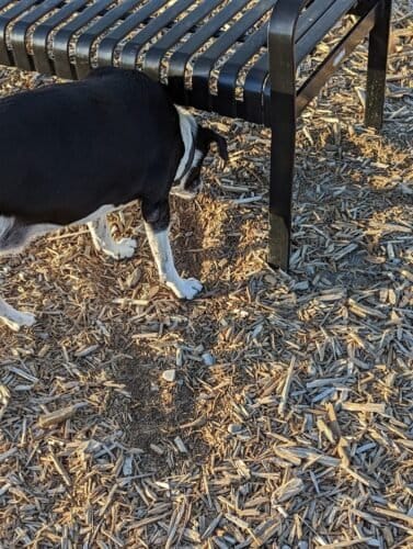 AC9h4nrjdvOUAR 3 qLuROo wADJbH4a47Mm myywjbPEtdNvzWadOOCQxkySXBNWsp4mKn8tAdzC5xN3KwBeS1em6N8MuTfnGcK3GYDMdAij9wpbLW418PeLOpLzErkbbaxXsyy0Yogw1600 h1000 k no