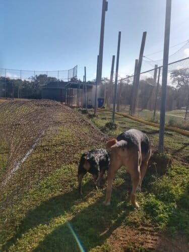 AC9h4nrjhQLISjdoEZ0B4sQfUPhFyaDZi6o0ElJCnADRFFgOnKDWfMdqIX0CHS0wj8Z8tzT3YunvlSUrxzn3EQ6TMYACXm Zm9WA46bum6ow1600 h1000 k no